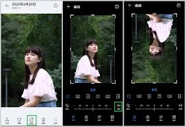 图片怎么镜像翻转