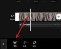 剪映怎么使用变声功能？详细教程在这里-掌握剪映变声技巧，轻松打造个性化作品