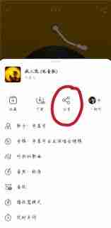 网易云音乐分享歌单给别人会有记录吗-探索网易云分享歌单的隐私设置