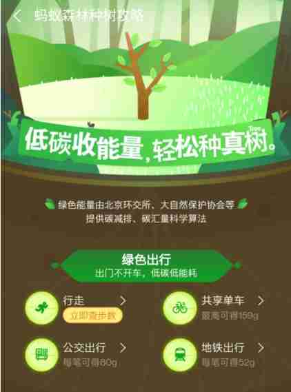 蚂蚁森林该如何获取能量