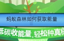 蚂蚁森林该如何获取能量