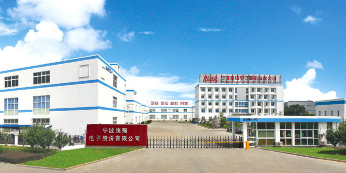 康强电子2024年营收19.65亿元，净利润同比增长3.24%