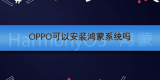 OPPO可以安装鸿蒙系统吗