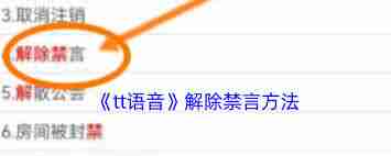 tt语音被禁言了怎么办-如何解除tt语音的禁言