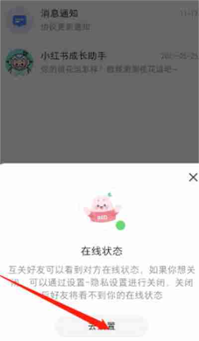 小红书怎么更改在线状态