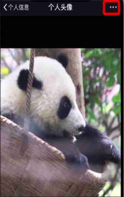 微信怎么查看上一张头像