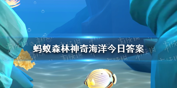 世界上最深的海峡是 神奇海洋3月28日答案