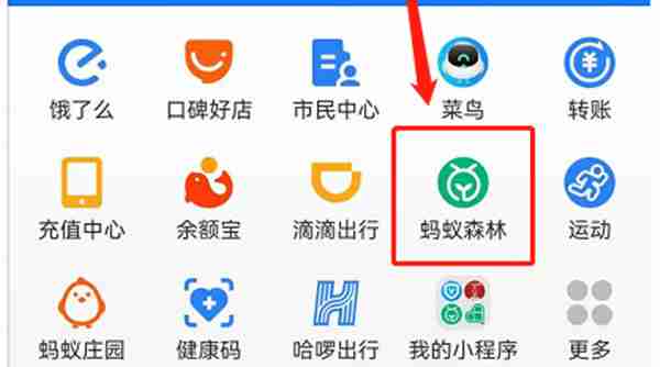 支付宝蚂蚁庄园森林人格怎么进入