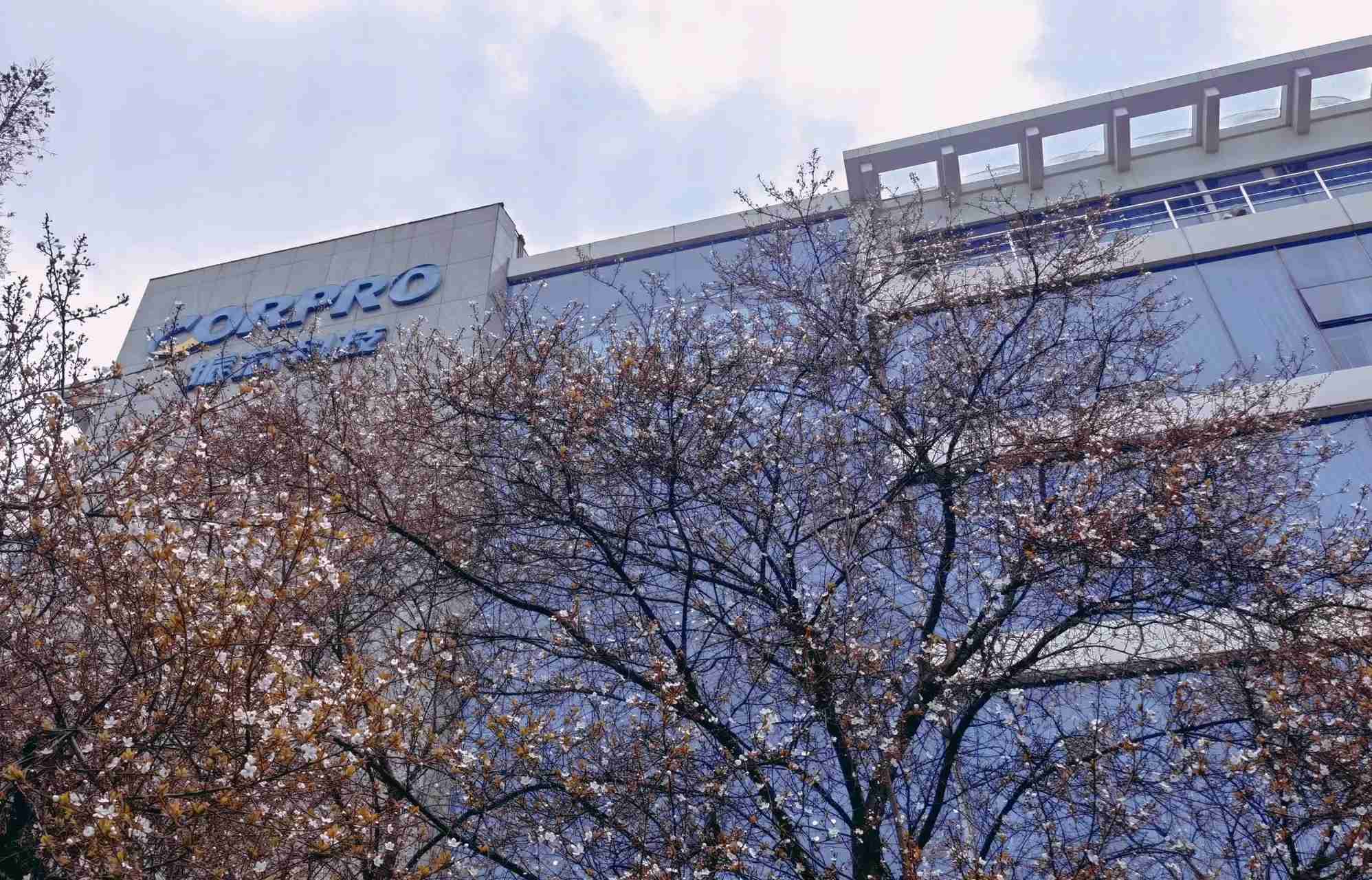 集成电路产品价格下跌,振芯科技2024年净利润同比下降44.91%