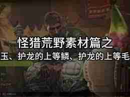怪物猎人荒野：如何获取护龙的上等毛皮及其作用-怪物猎人荒野护龙上等毛皮获取技巧与功能详解
