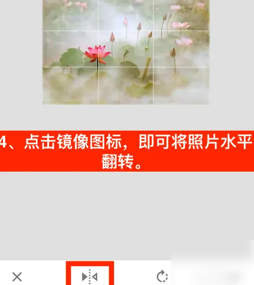 snapseed怎么镜像翻转 Snapseed将照片水平翻转方法