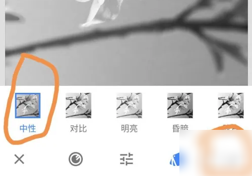 snapseed怎么只留一种颜色 snapseed局部色彩保留方法