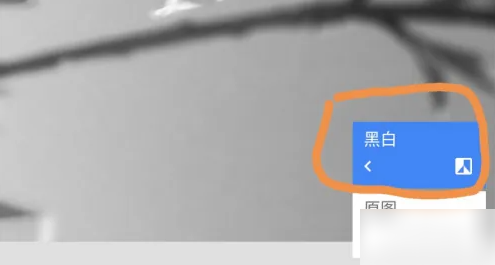 snapseed怎么只留一种颜色 snapseed局部色彩保留方法