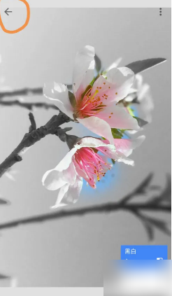 snapseed怎么只留一种颜色 snapseed局部色彩保留方法