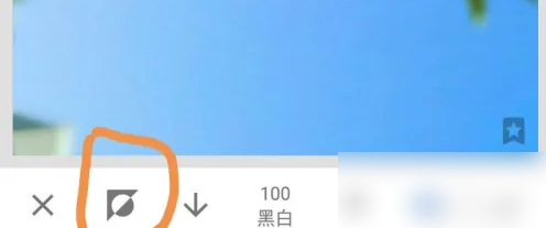 snapseed怎么只留一种颜色 snapseed局部色彩保留方法