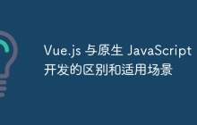 Vue.js 与原生 JavaScript 开发的区别和适用场景