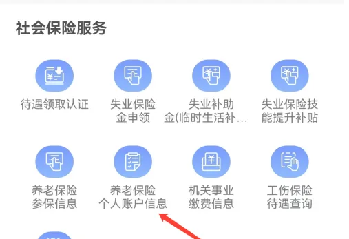 龙江人社app怎么查个人信息 龙江人社查看养老保险个人账户信息方法