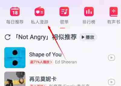网易云音乐怎么关闭私人dj