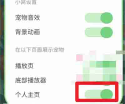 QQ音乐宠物怎么不在主页显示