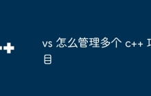 vs 怎么管理多个 c++ 项目
