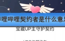 哔哩哔哩契约者是什么意思