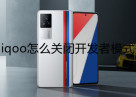 iqoo怎么关闭开发者模式