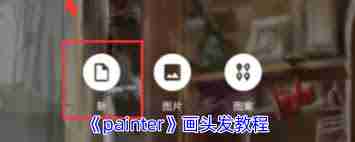 painter如何画头发-painter画头发的方法