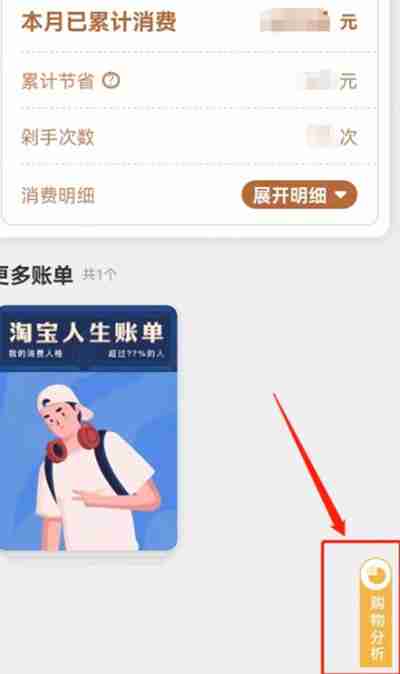 淘宝年度购物分析怎么查看