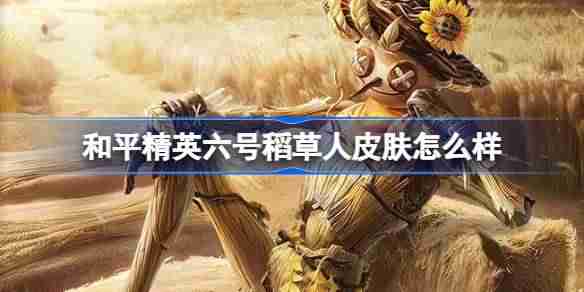 和平精英六号稻草人怎么样-和平精英六号稻草人皮肤价格