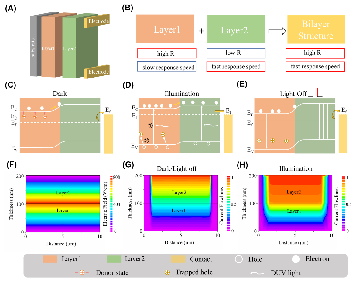 中国科学技术大学在日盲紫外光电探测器研究中取得新进展
