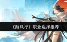 踏风行职业怎么选-踏风行职业介绍与选择推荐