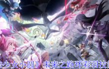 魔法少女小圆环彩羽光爆流指南 暴击破盾战术核心解析