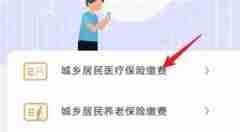云闪付医保在哪里交