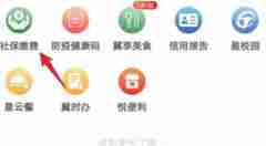 云闪付医保在哪里交