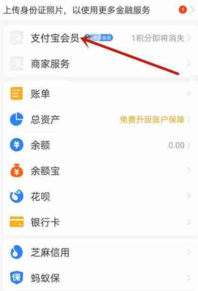 支付宝怎么查看积分兑换记录
