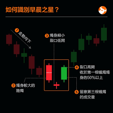 星图金融如何查看历史协议-星图金融怎样看历史协议