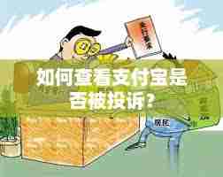 支付宝怎么查询投诉进度-支付宝如何查投诉进展