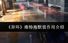 异环维特海默值全解析！看懂这个数值轻松拿捏危险角色