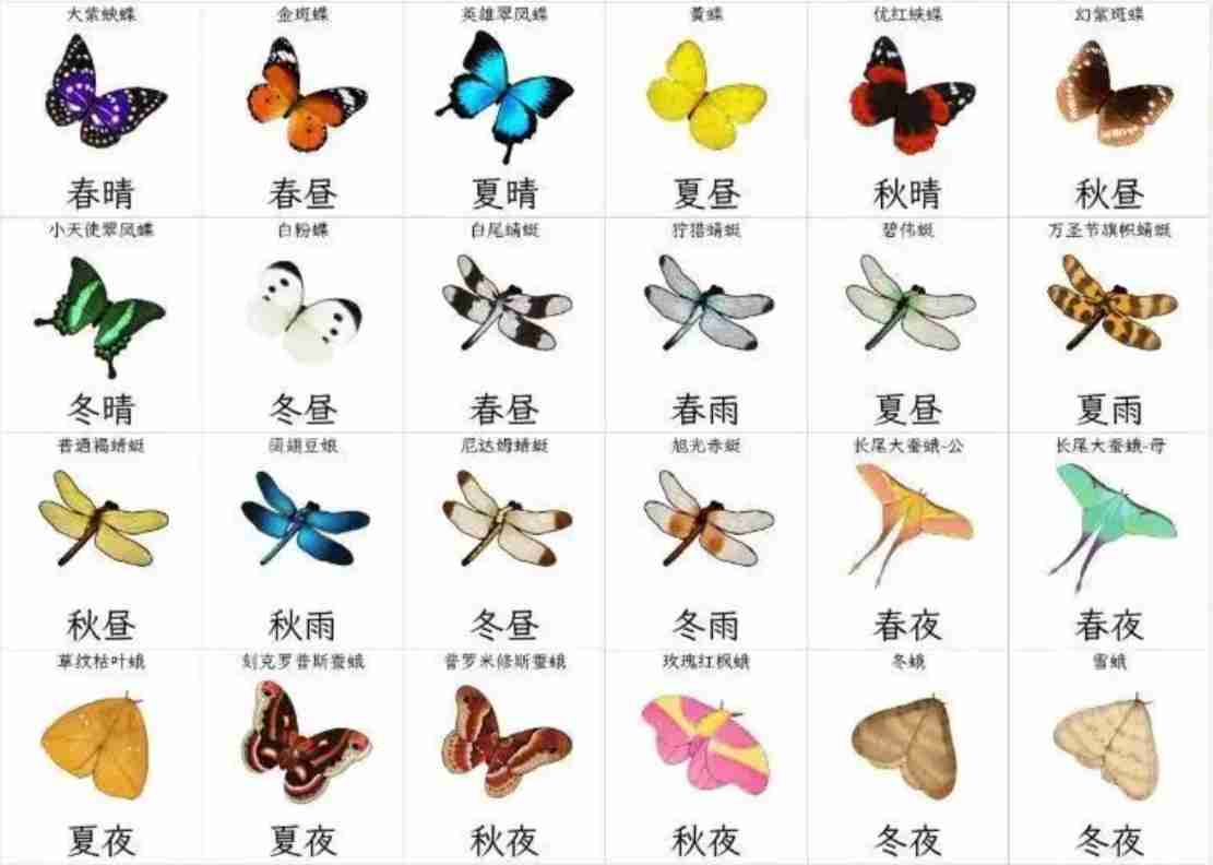 开放空间收集物及获取时间一览