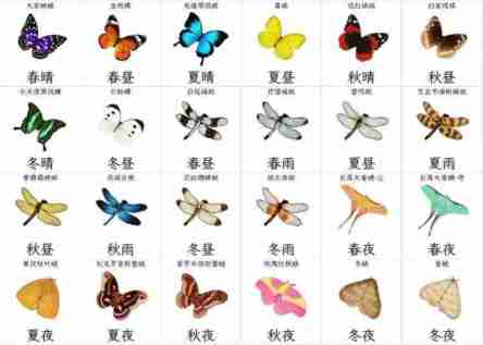 开放空间收集物及获取时间一览