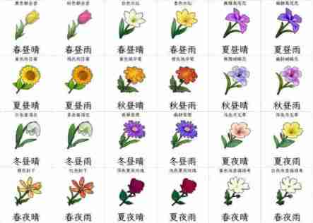 开放空间收集物及获取时间一览