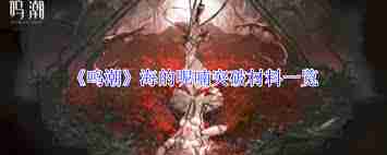 鸣潮海的呢喃突破需要哪些材料-鸣潮海的呢喃突破材料有哪些