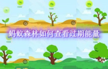 蚂蚁森林如何查看过期能量