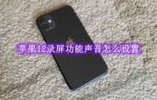 苹果12录屏功能声音怎么设置