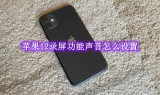 苹果12录屏功能声音怎么设置