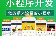 如何选择适合微信小程序开发的服务器