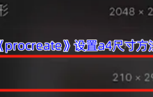 Procreate设置A4画布终极指南 三步解锁专业创作尺寸