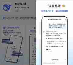 deepseek联网搜索是什么-deepseek联网搜索的含义
