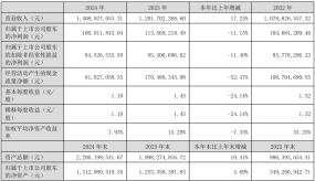 豪恩汽电2024年实现营收14.09亿元，同比增长17.25%