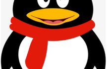 QQ美体怎么用